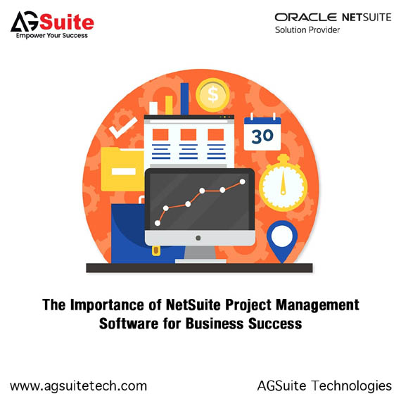 The Importance of NetSuite Project Management Software for Business Success