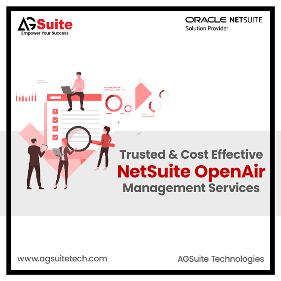 Trusted and Cost Effective NetSuite OpenAir Management Services