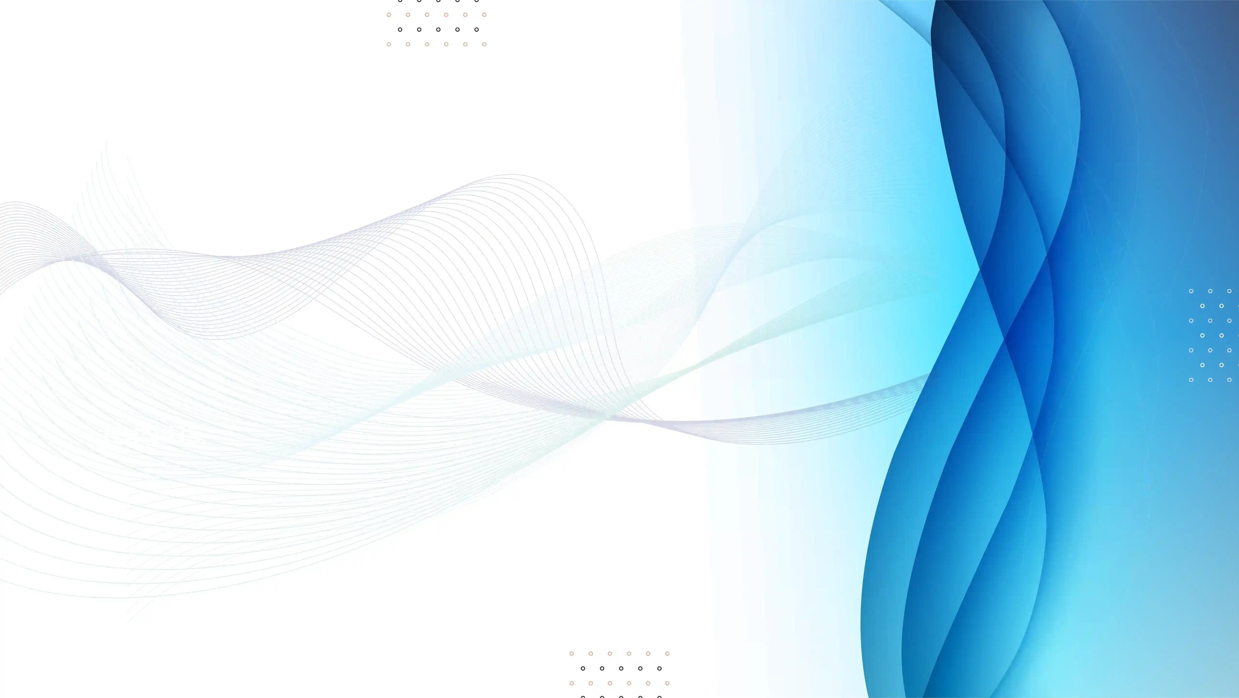 NetSuite Background