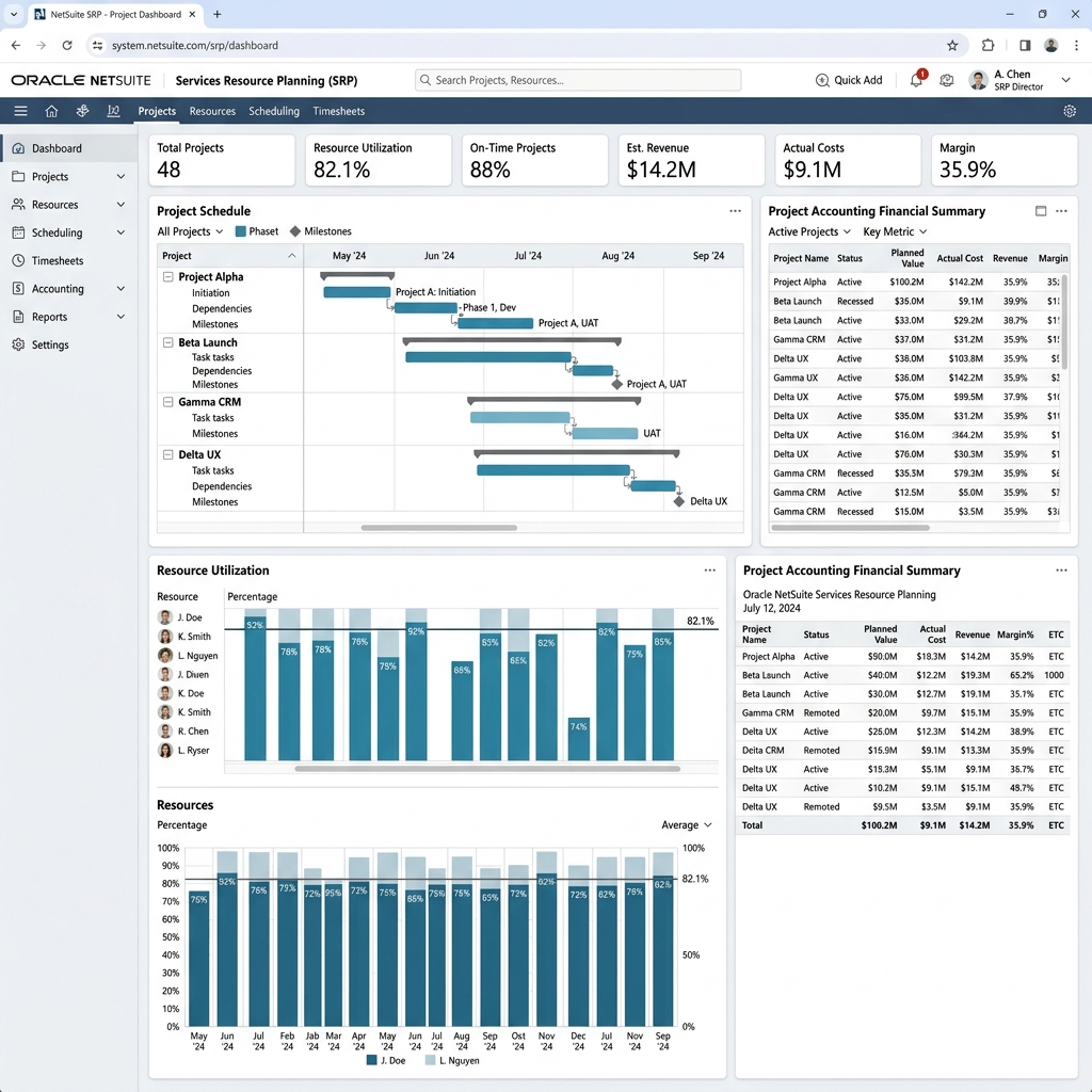 NetSuite Service Resource Planning Widescreen PC Dashboard
